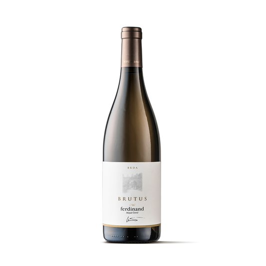 Ferdinand Brutus Rebula 2019
