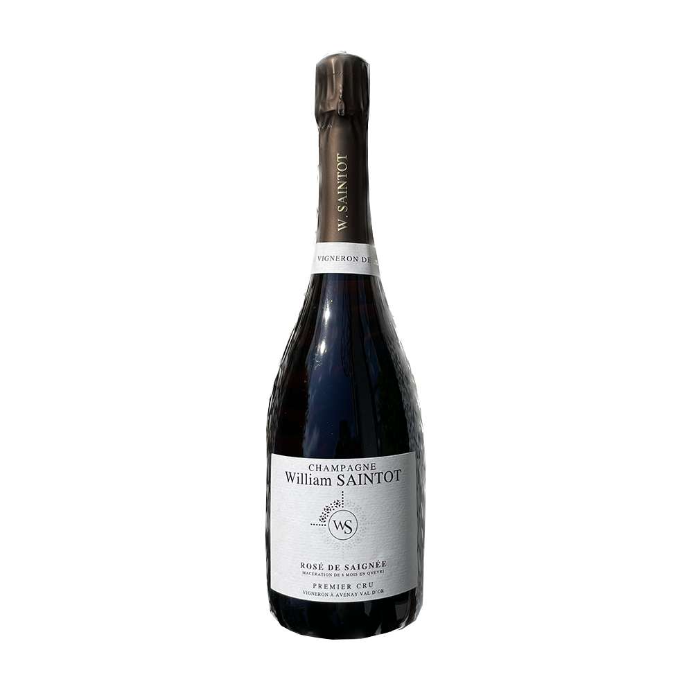 William Saintot Rose de Saignee